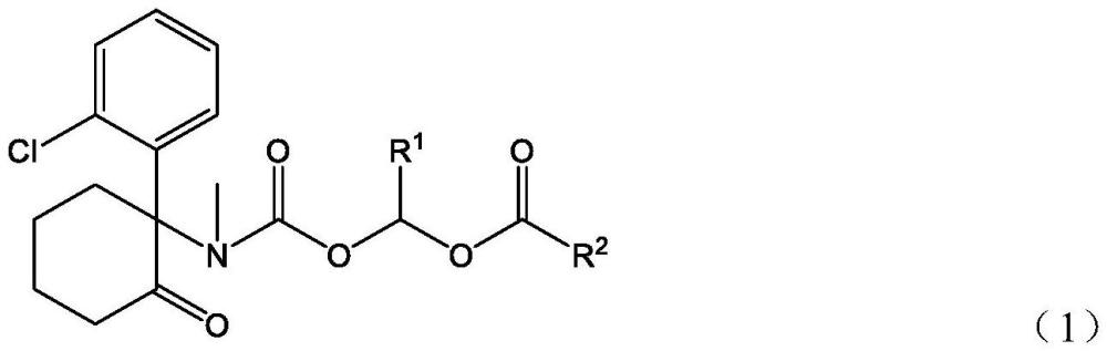 氯胺酮衍生物的药物组合物和口服剂型的制作方法